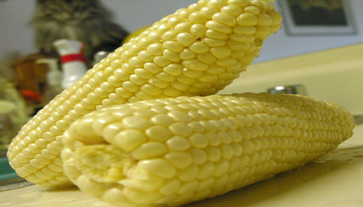 sweet corn recipe