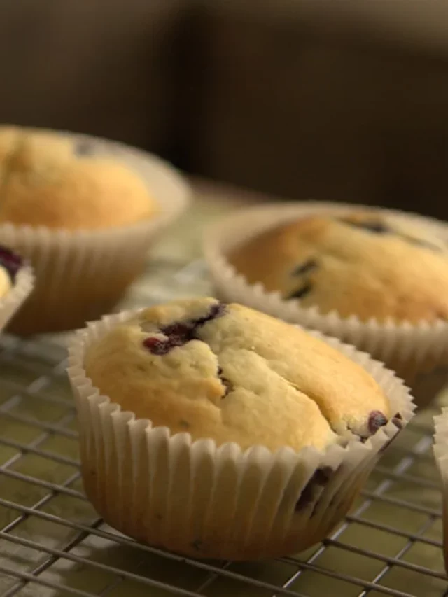 Blueberry Muffins